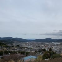プチっと
