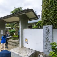 7月12日(土) 335回玉川上水に親しむ会-玉川上水を歩く7-4の前半