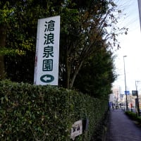 滄浪泉園（そうろうせんえん）へ