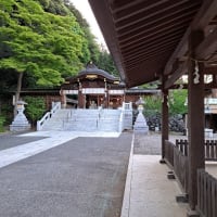 日が陰ると涼しくなりますね