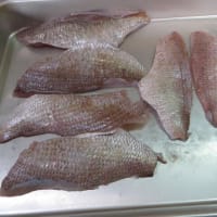 冷製の鯛茶漬け
