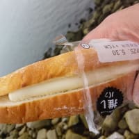 旧江戸川
