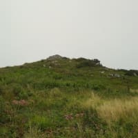 2025-07-02 Photo