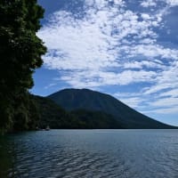 日光中禅寺湖 千手ヶ浜 クリンソウ
