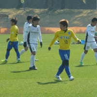 ＴＭ　ホンダロック戦