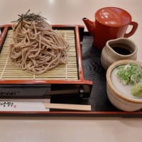 春旅（車中泊）・・・4日目勝山～帰宅！