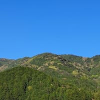 映画名探偵コナン