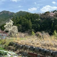 熊野古道　小辺路　踏破