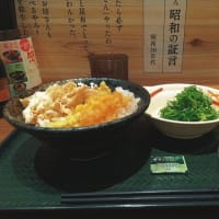 【株主優待】はなまるうどん：柚子豚鬼おろしぶっかけ、明太子おにぎり（2025年7月）