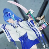 デュアルブレード（DB）武器迷彩（和装向け）