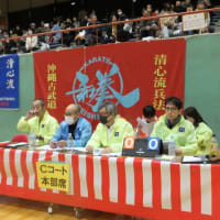 ミムラ杯第32回全日本清心会空手演武大会