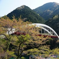 知らなかった国見山は・・・・・。
