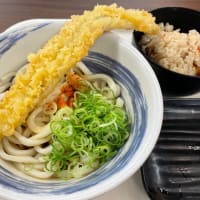 冷やしぶっかけうどん