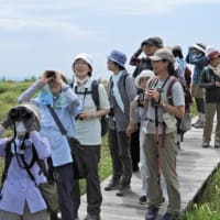 2025年6月24日(火)さっぽろ自然散歩 「石狩浜」