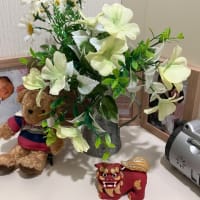 ダイソーの造花で、ちょっと華やかに‼️
