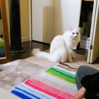 我儘時間に更新