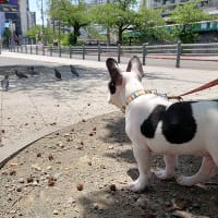 咳で通院した日
