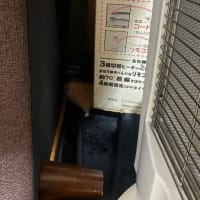 ネズコの大冒険