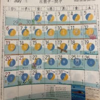 ◉七月の出没予定 2025◉