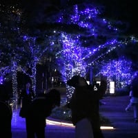 冬のスカイツリー　2024