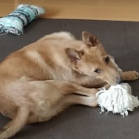 テンション