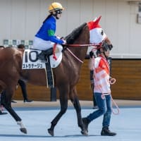 【ストラテージュ】一週前倒しで今週勝負！ 6/29函館2R・出走確定