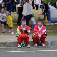 UWAJIMA EXPO　 宇和島よさこい祭り 