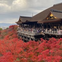 京都の紅葉に先月やけど😆