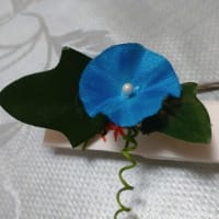 朝顔市・・・