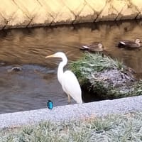 税務相談