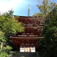 奈良　加茂岩船寺＆浄瑠璃寺