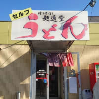 2025年帰省旅（6日目）父母ヶ浜～麺通堂（讃岐うどん）