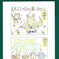 まるココの日々（４３１）