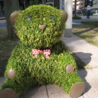 公園で見つけた