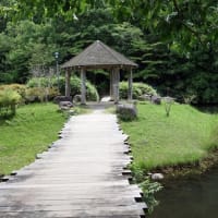 公園散歩-1