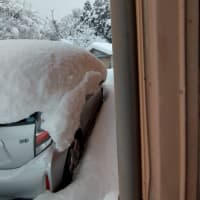 まるで凶器の氷柱