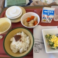 虫垂炎の手術を受けた話⑨退院とその後