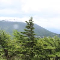 天気を見て変更、水ノ塔山へ（2024年7月24日）