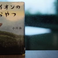 第57回福井読書感想交換会『ライオンのおやつ』