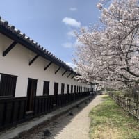 冬の花見