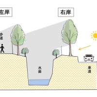 玉川上水小平地区「328号線」予定地の群落の現状　− 2024年