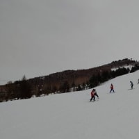 10のスキー場巡り＼(^o^)／