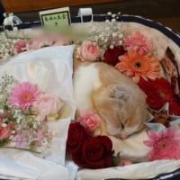 ★みんなありがとう！★
