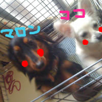 ブログ２日目突入～(*^^)v