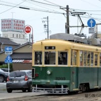 豊橋鉄道 前畑(2025.6.8) 復刻デザインラ ッピング モ３２０３、旧東京都電 モ３５０２ 並び