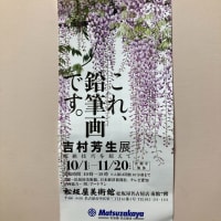 なんちゃって大掃除