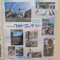 七夕