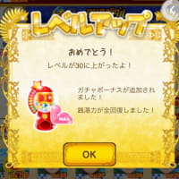 プレイヤーLV30