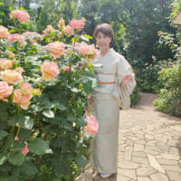 薔薇尽くしの午後