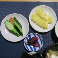 さわやかごはん、シンプル炊屋食堂の田舎定食・・・腹八分目。